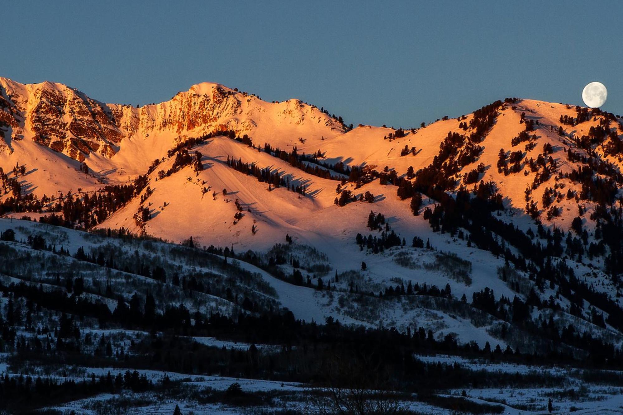Wolf Creek Lodge Condo In Eden, Ut - Relaxing Mountain Retreat Exterior foto